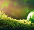 Growth-Equity-Fonds JUNCTION: 100 Millionen Euro für Energiewende (Foto: AdobeStock - Li Ding)