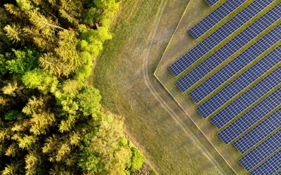 Der BSW hat nachdrücklich darauf hingewiesen, dass die maximalen Preise, die bei Solarauktionen geboten werden dürfen, dringend angehoben werden müssen. (Foto: AdobeStock - David-A380 510000534)