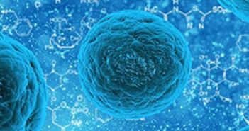 Neuartiger Wirkstoff HY-133 bekämpft Staphylococcus aureus-Erreger (Foto: HYpharm GmbH)